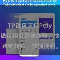 TP钱包支持Polygon TP钱包相沿跨链转账，快捷便利。
